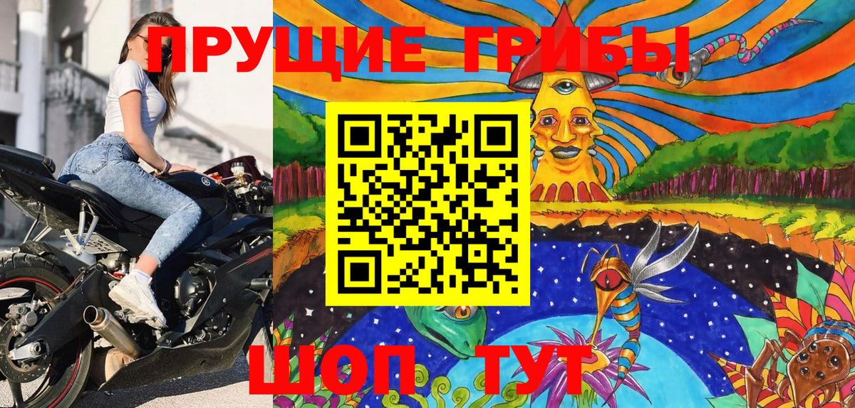 Курчалой  Псилоцибиновые грибы Psilocybine cubensis  Вход с VPN 