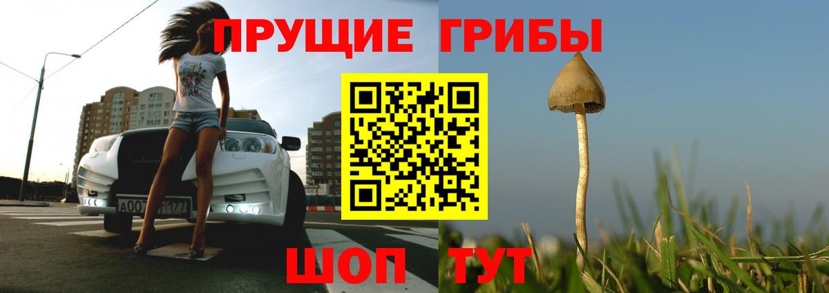 Псилоцибиновые грибы мицелий Курчалой